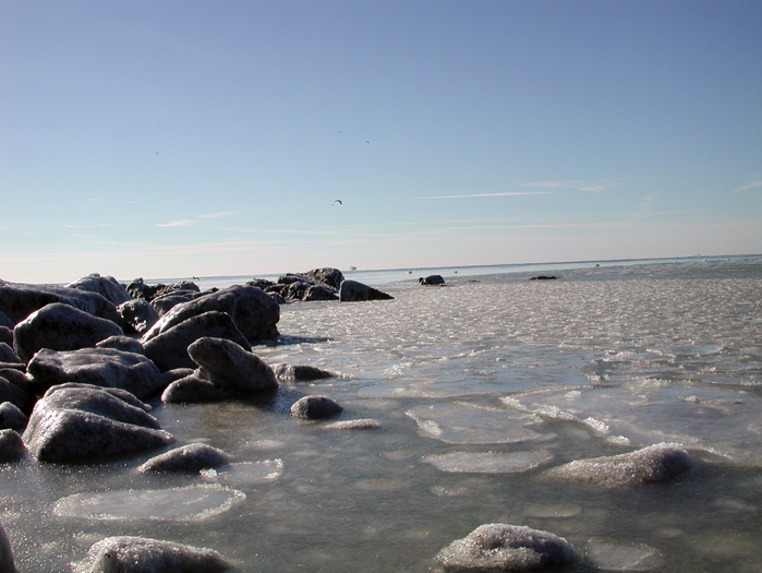 Frozen water