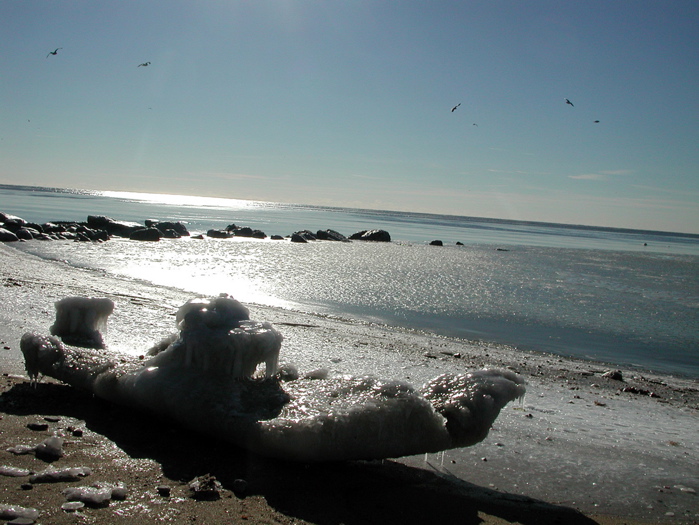 Beach in winter